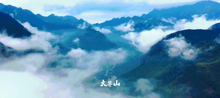 泰坦黎明